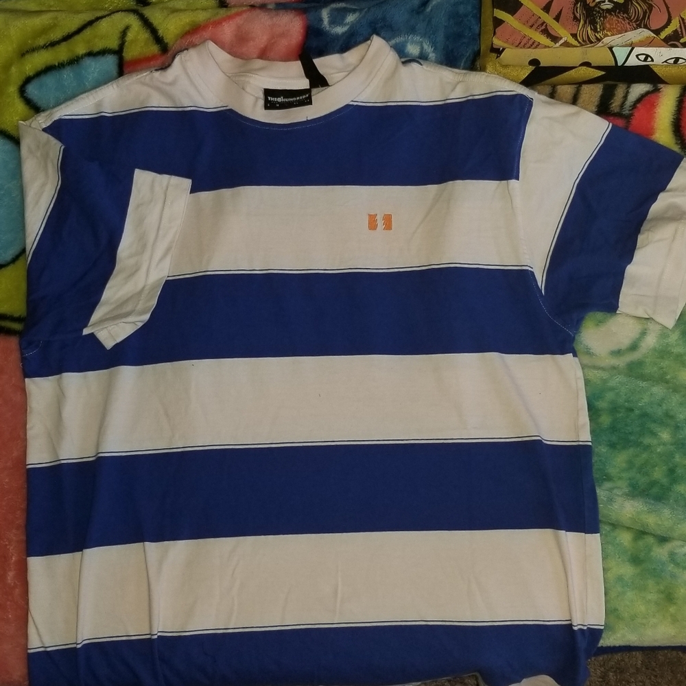The hundreds stripped t shirt